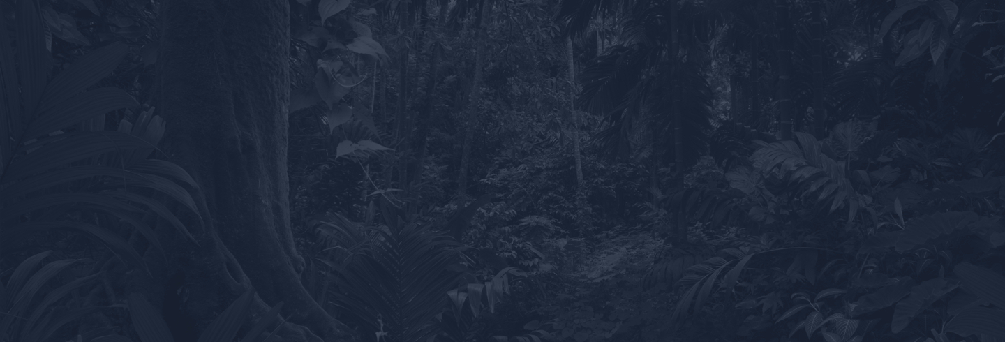 Ten Cassowary Truths