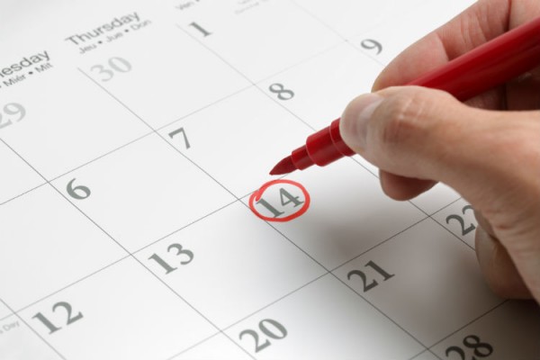 When are the fees due?