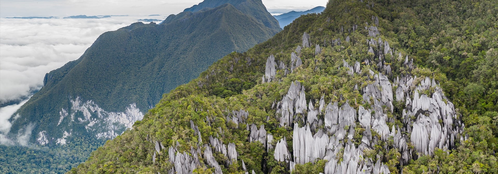 Gunung Api-Mulu National Park-Sarawak, Borneo, by Chien Lee