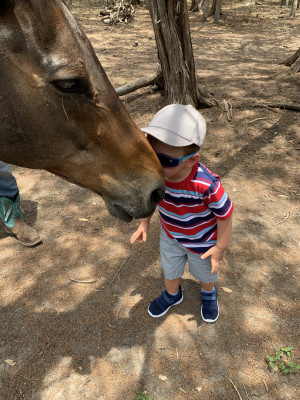 Animals are the best!