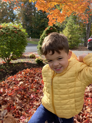 Fall in Maine