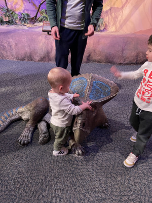 Dinosaur Museum