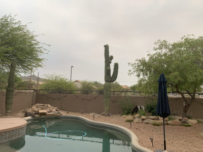 A view from our pool. 