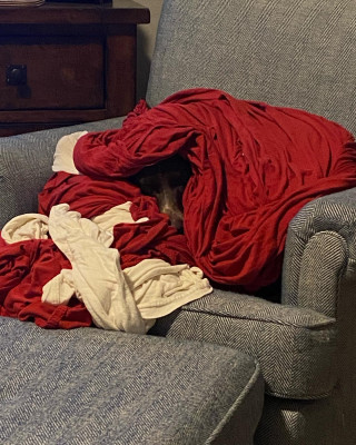 Dagny loves to snuggle as well.