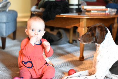 Dagny loves kids! Here she is being sweet with our niece.