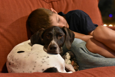 Dagny enjoying sleeping with our nephew.