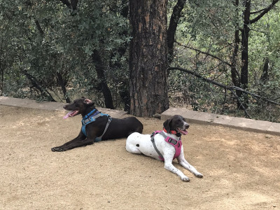 Both girls enjoy camping and hanging out!