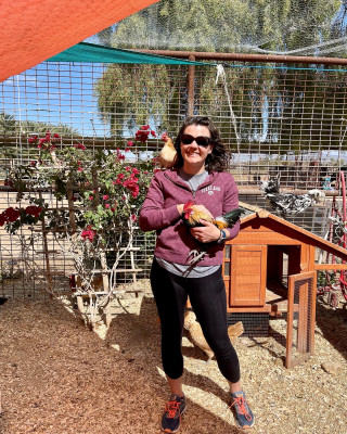 Hanging out with some animals at an animal rescue.