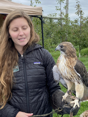 Elizabeth got to meet this beautiful bird while in New England for a wedding.