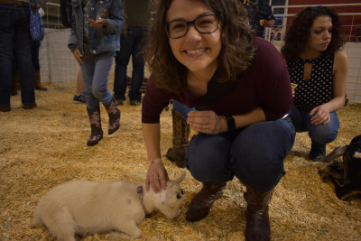 Who doesn't enjoy a petting zoo!