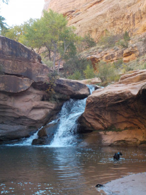 Tranquil natural water fall.