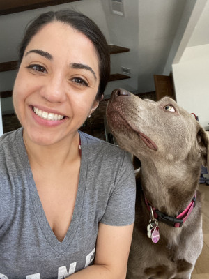 Luna is a 4-year-old Labrador Retriever