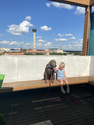 She is a sweet dog that is excellent with children. 