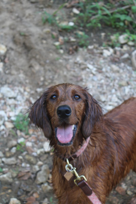 She only likes swimming if it's in a lake.