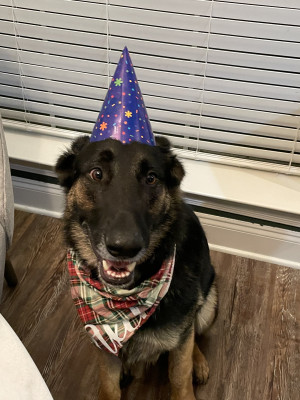 Axel's Birthday!