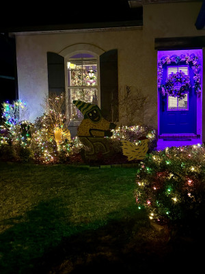 Mardi Gras Home Decor 2024