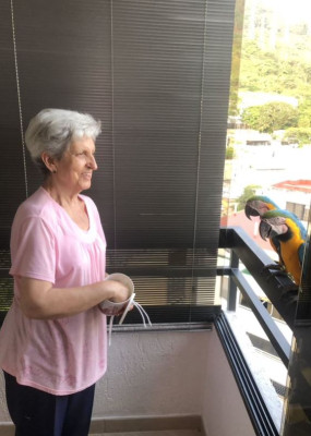 Antonio's Mom is an extraordinary chef, who is always ready with snacks for wild parrots