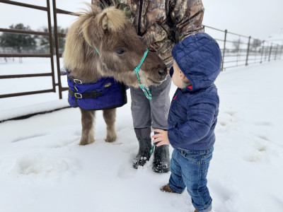Teddy came out to play with Caleb in the snow