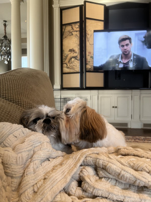 Buster loves his brother