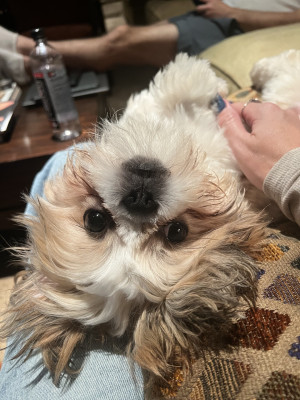 Buster being his goofy self.