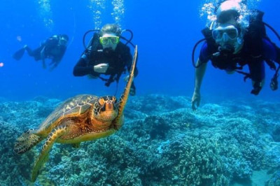 We love to scuba dive on our beach vacations.