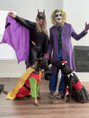 Bat(wo)man, and Robin with the joker and Harley Quinn. We love dressing up for Halloween!