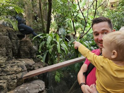 Going to the zoo with Baba and Dada is so cool!