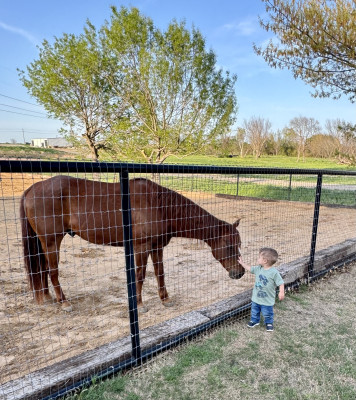 Caleb saying 'hi' to Major