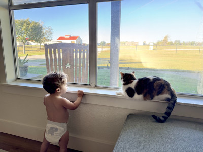 Caleb and Ginger looking out the front window