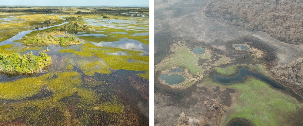 Despite its size and inherently wet nature, the Pantanal is not invulnerable to fire risk. Since January, more than 3 million acres have burned, and the fires continue. Photos courtesy Onçafari